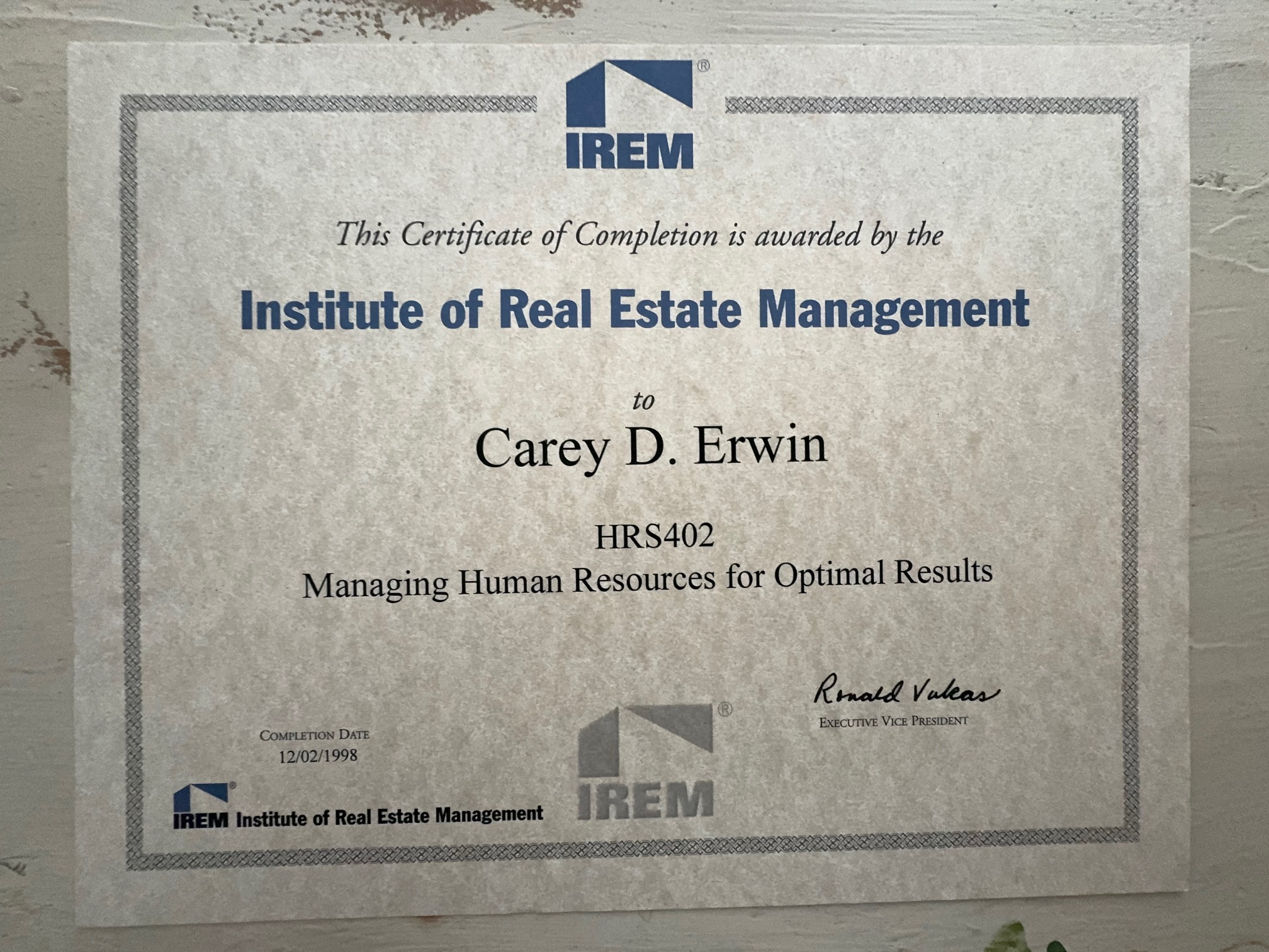 Professional Certificate 2