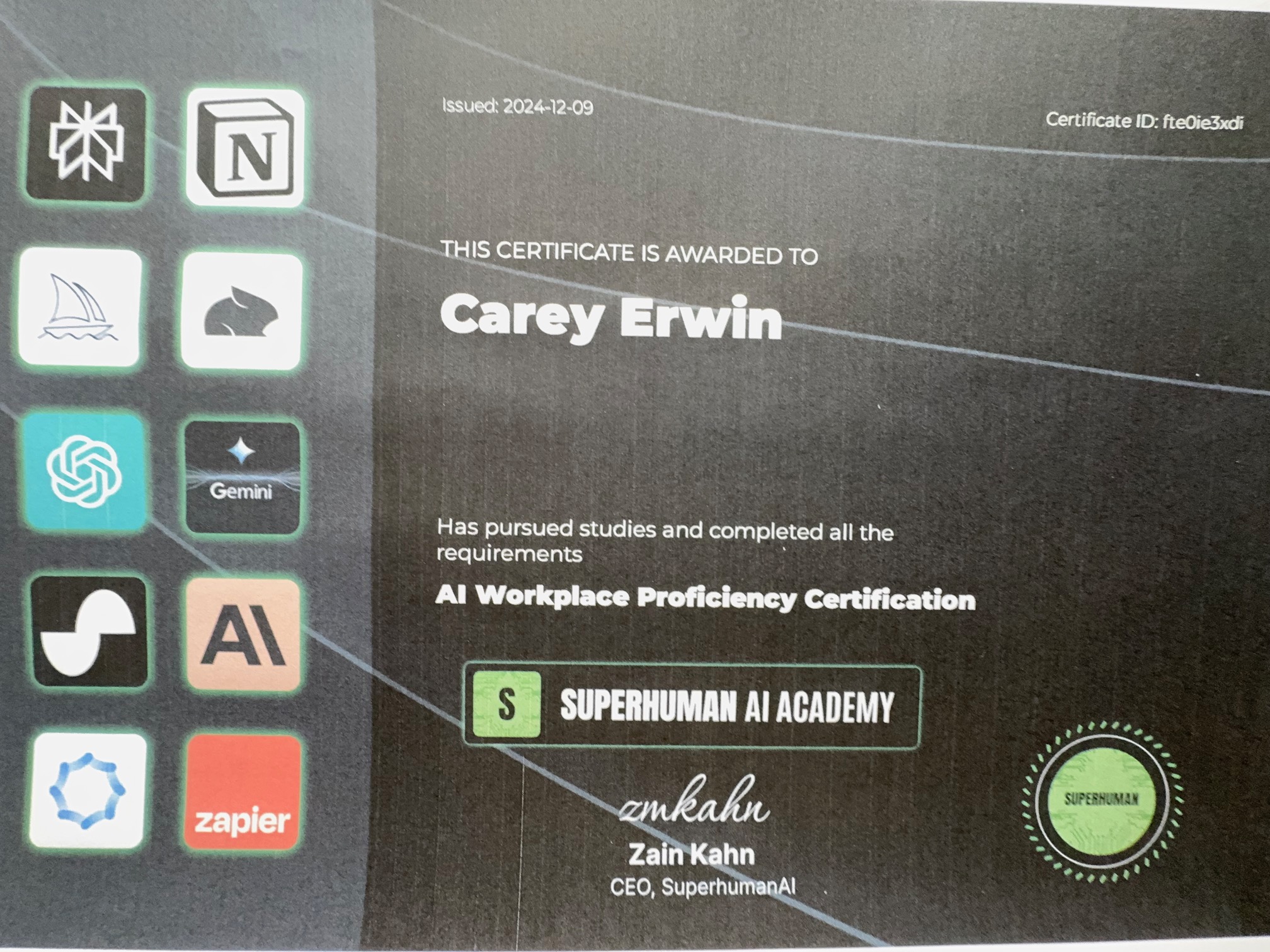 Professional Certificate 7